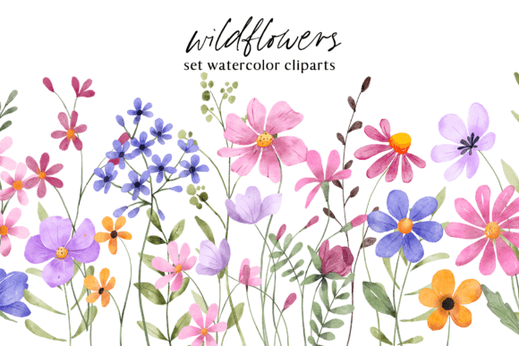 Download Floral Watercolor Set, Flowers, Leaves. - Floral watercolor Collection